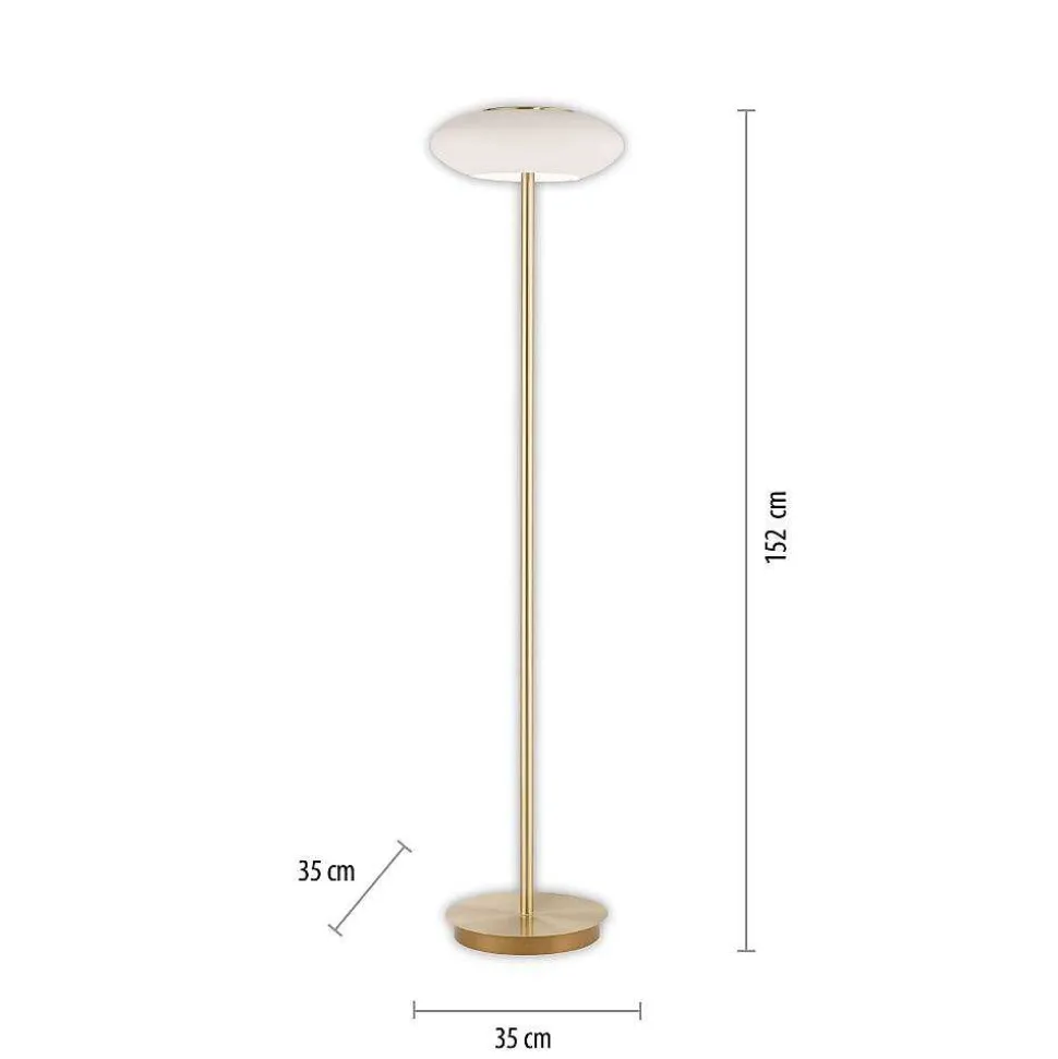 Lampadaire Paul Neuhaus Q-Etienne Led Laiton, 1 Lumiere, Telecommandes