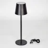 Lampe A Poser Allen Led Noir, 1 Lumiere