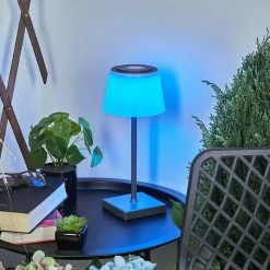 Lampe A Poser Burzaco Led Anthracite, 1 Lumiere, Changeur De Couleurs