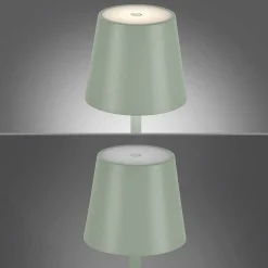 Lampe A Poser Leuchten-Direkt Euria Led Vert, 1 Lumiere