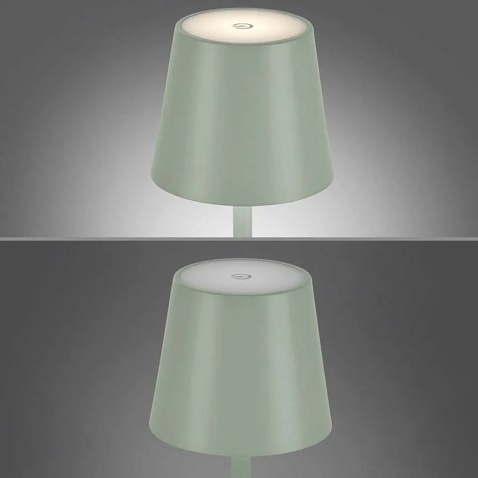Lampe A Poser Leuchten-Direkt Euria Led Vert, 1 Lumiere
