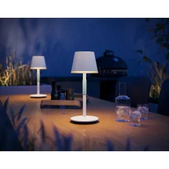 Lampe A Poser Philips Hue Go Led Vert, Blanc, 1 Lumiere, Changeur De Couleurs