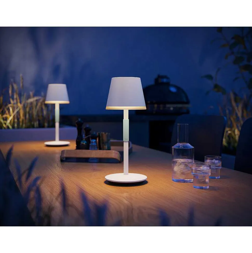 Lampe A Poser Philips Hue Go Led Vert, Blanc, 1 Lumiere, Changeur De Couleurs