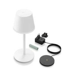 Lampe A Poser Philips Hue Go Led Vert, Blanc, 1 Lumiere, Changeur De Couleurs