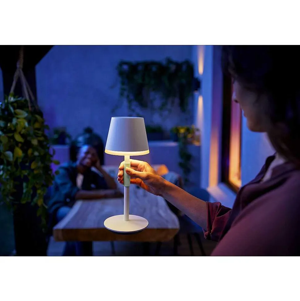 Lampe A Poser Philips Hue Go Led Vert, Blanc, 1 Lumiere, Changeur De Couleurs