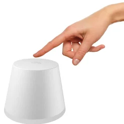 Lampe A Poser Philips Hue Go Led Vert, Blanc, 1 Lumiere, Changeur De Couleurs