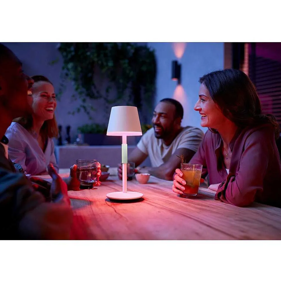 Lampe A Poser Philips Hue Go Led Vert, Blanc, 1 Lumiere, Changeur De Couleurs