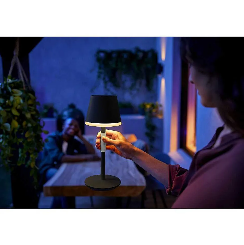 Lampe A Poser Philips Hue Go Led Gris, Noir, 1 Lumiere, Changeur De Couleurs