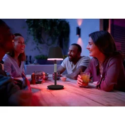 Lampe A Poser Philips Hue Go Led Gris, Noir, 1 Lumiere, Changeur De Couleurs