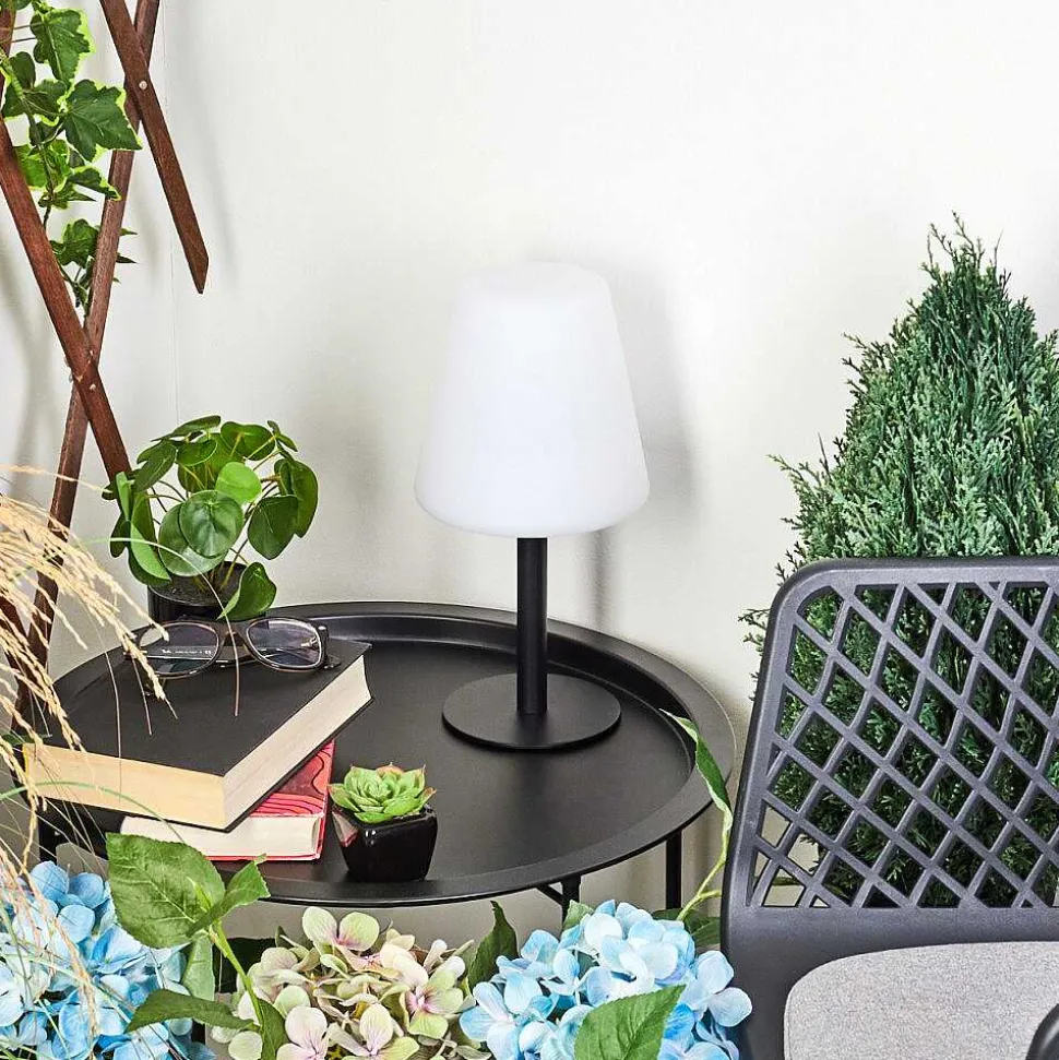 Lampe A Poser Zoume Solar Led Noir, 8 Lumieres, Changeur De Couleurs