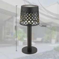 Lampe De Table Globo Solar Led Noir, Transparent, 1 Lumiere