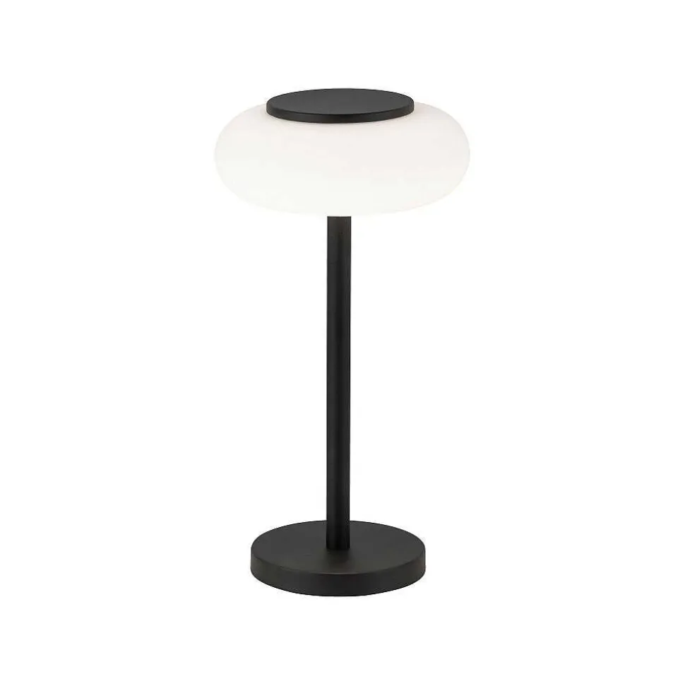 Lampe De Table Paul Neuhaus Q-Etienne Led Noir, 1 Lumiere, Telecommandes