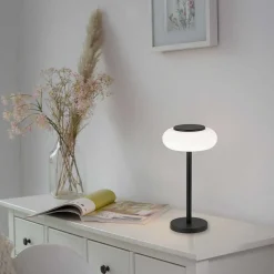 Lampe De Table Paul Neuhaus Q-Etienne Led Noir, 1 Lumiere, Telecommandes