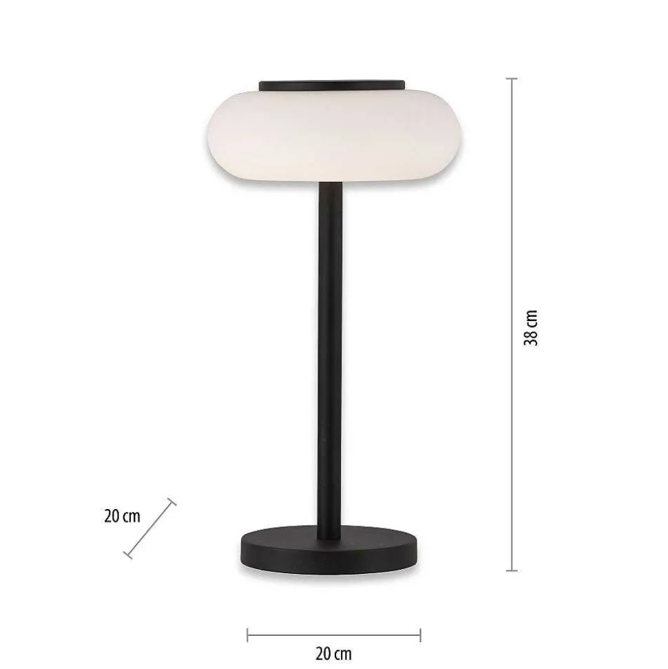 Lampe De Table Paul Neuhaus Q-Etienne Led Noir, 1 Lumiere, Telecommandes