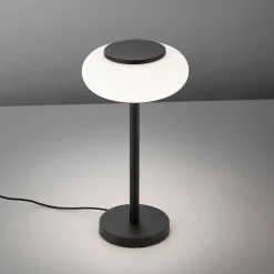 Lampe De Table Paul Neuhaus Q-Etienne Led Noir, 1 Lumiere, Telecommandes