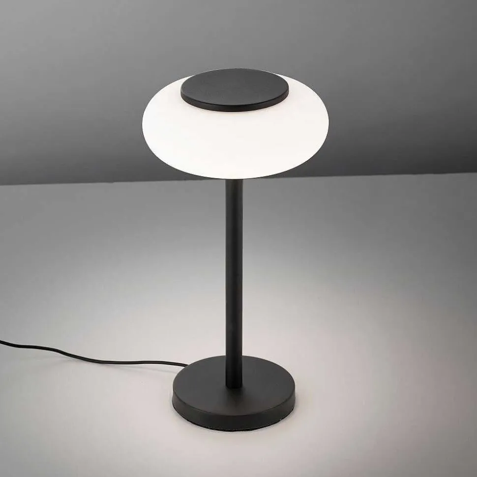Lampe De Table Paul Neuhaus Q-Etienne Led Noir, 1 Lumiere, Telecommandes