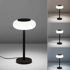Lampe De Table Paul Neuhaus Q-Etienne Led Noir, 1 Lumiere, Telecommandes