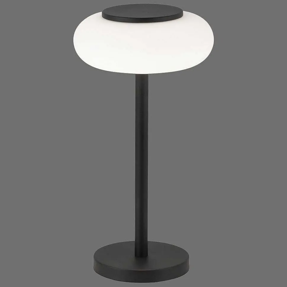 Lampe De Table Paul Neuhaus Q-Etienne Led Noir, 1 Lumiere, Telecommandes