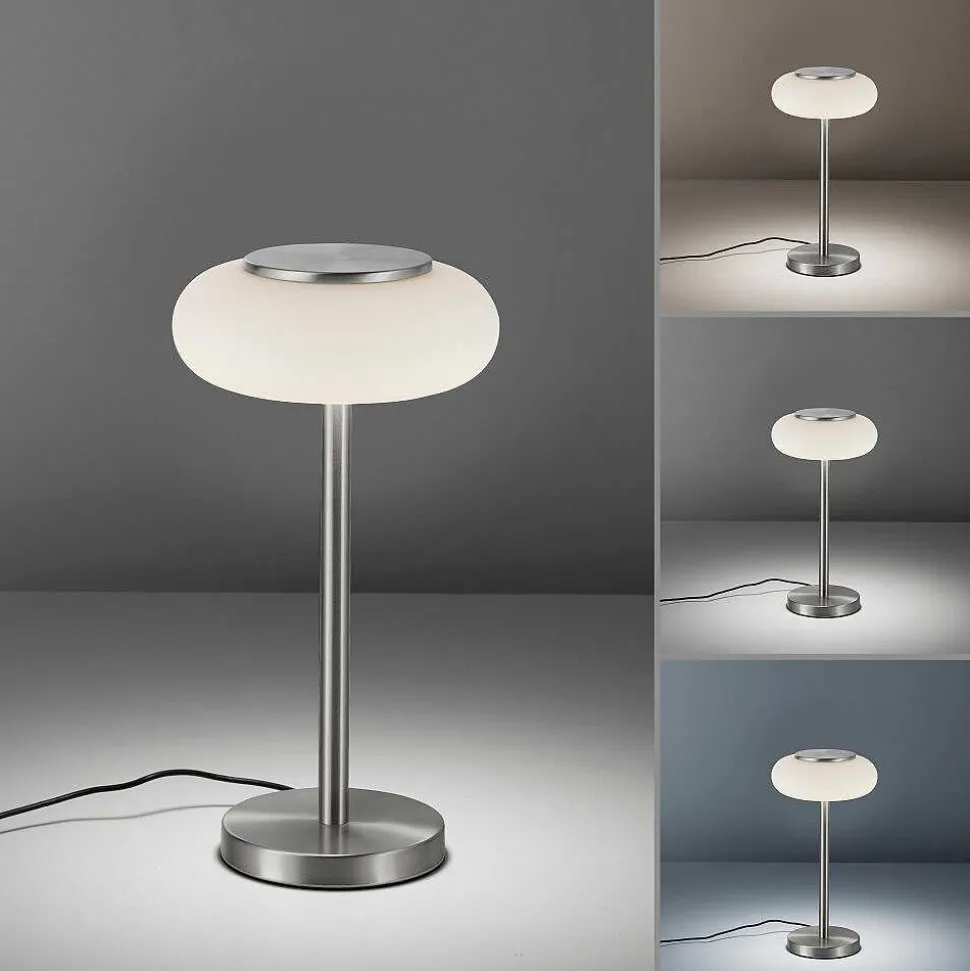 Lampe De Table Paul Neuhaus Q-Etienne Led Acier Brosse, 1 Lumiere, Telecommandes