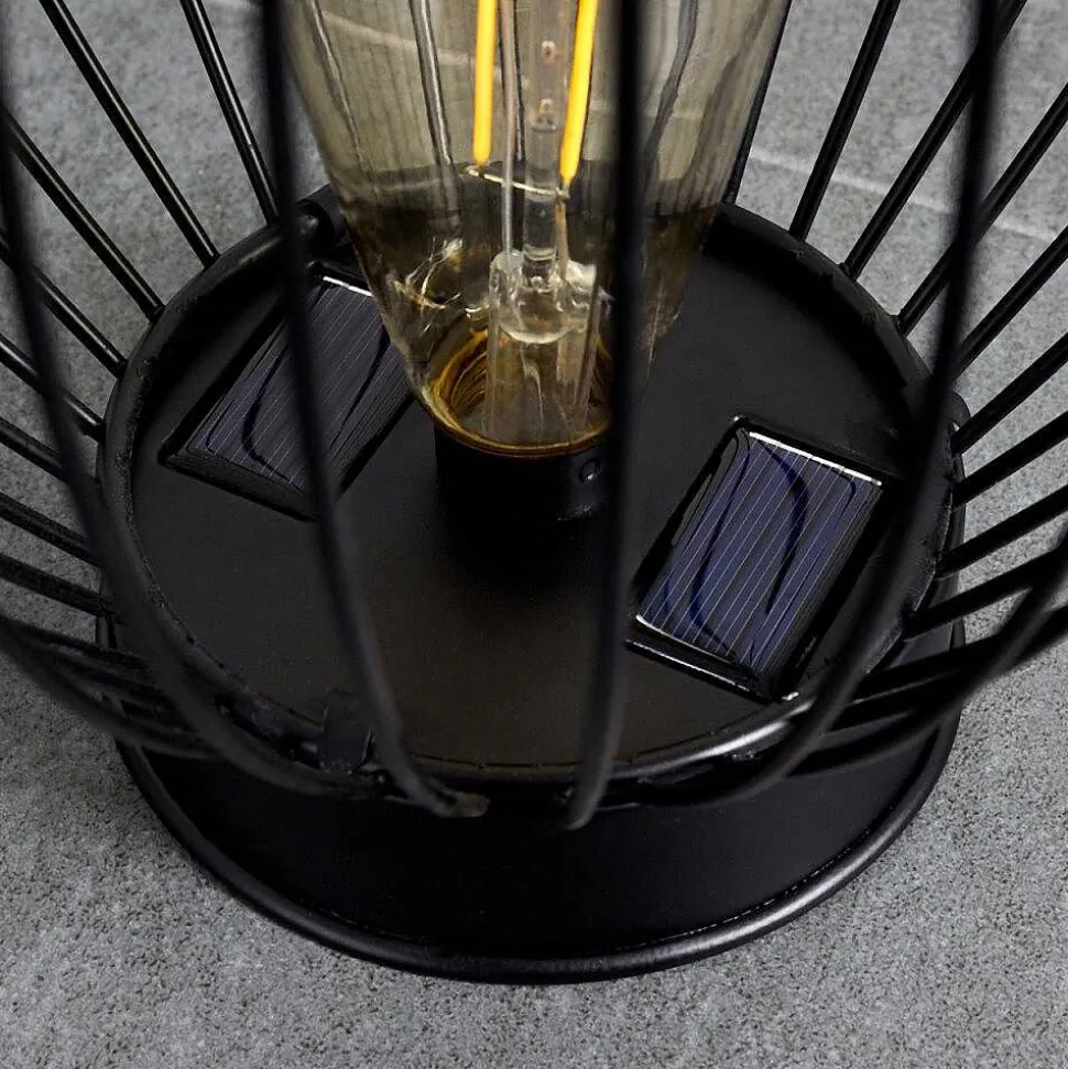 Lampe Solaire Pasadena Led Noir, 1 Lumiere