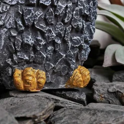 Lampe Solaire Sunderby Led Gris, Orange, 2 Lumieres