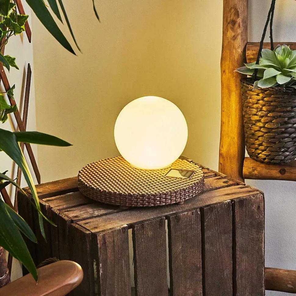 Lampe Solaires Centrache Led Brun, 1 Lumiere