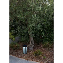 Lampe Solaires Lutec Dias Led Noir, 1 Lumiere, Detecteur De Mouvement, Changeur De Couleurs