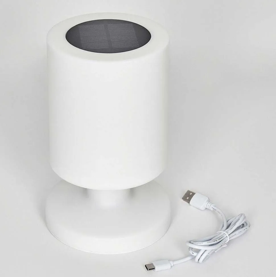 Lampe Solaires Pontaut Led Blanc, 1 Lumiere