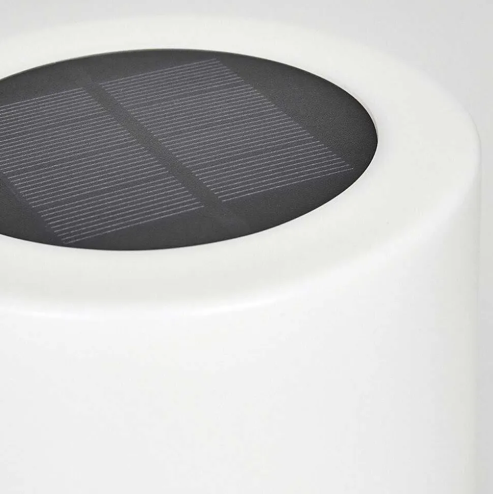 Lampe Solaires Pontaut Led Blanc, 1 Lumiere