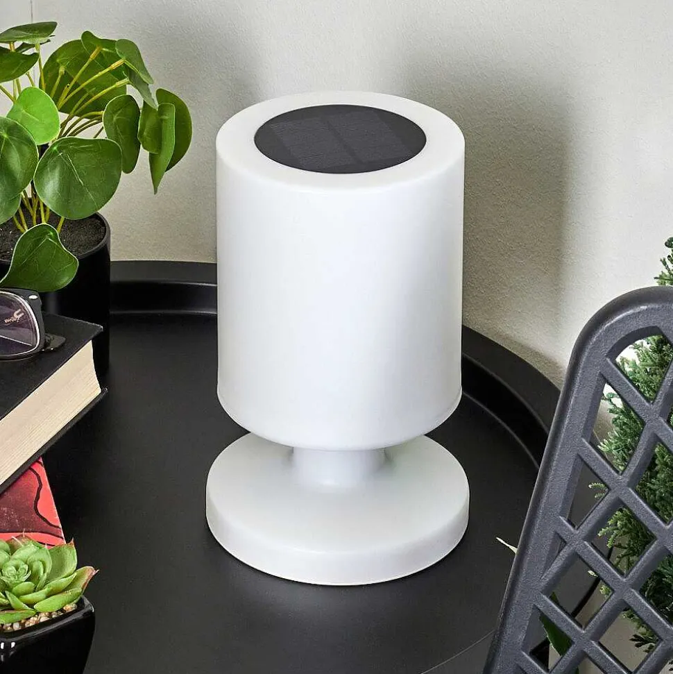 Lampe Solaires Pontaut Led Blanc, 1 Lumiere