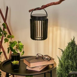 Lampe Solaires Rossina Led Noir, 1 Lumiere