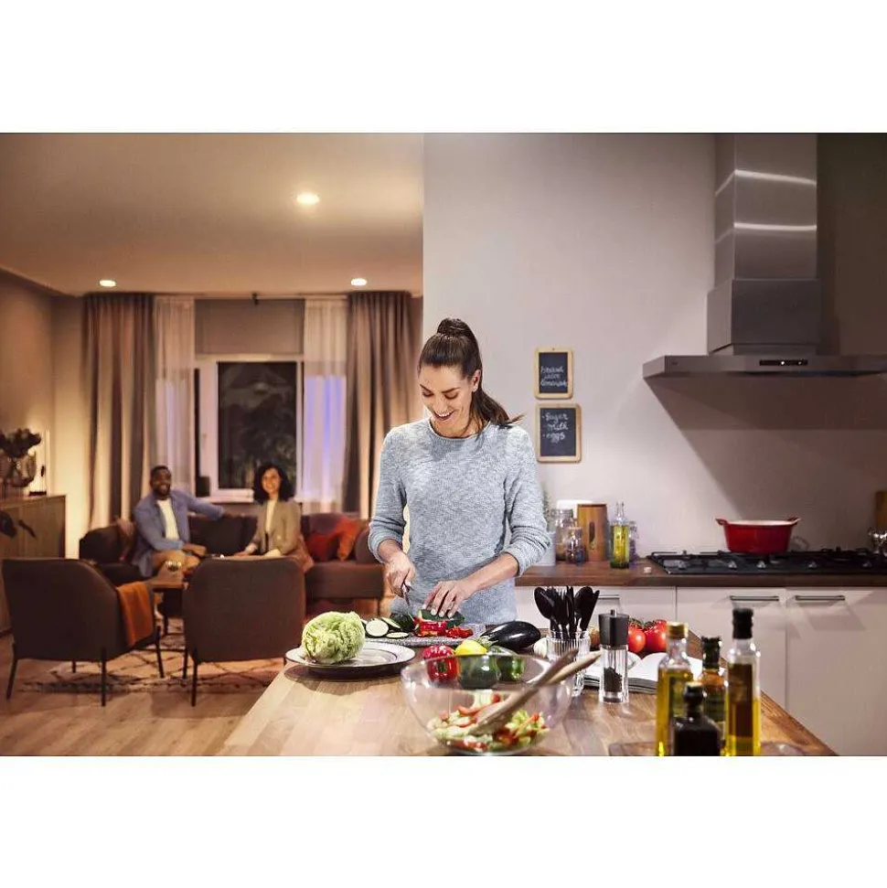 Led E27 9,5 Watt 2700 Kelvin 1055 Lumen Philips Hue White