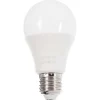Led E27 10W 2700 Kelvin 800 Lumen