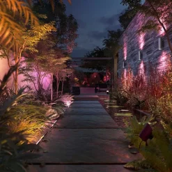 Philips Hue White And Color Ambiance Amarant Led Noir, 1 Lumiere, Changeur De Couleurs