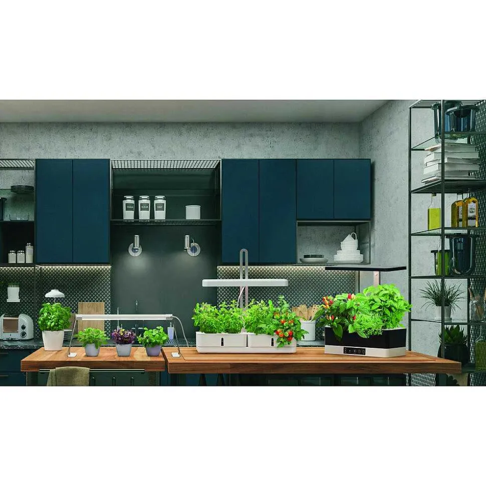 Pieu De Terre Ledvance Indoor Garden Blanc, 1 Lumiere