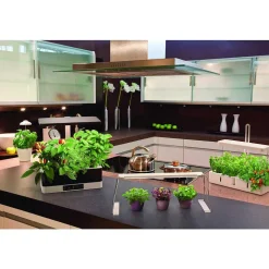 Pieu De Terre Ledvance Indoor Garden Blanc, 1 Lumiere