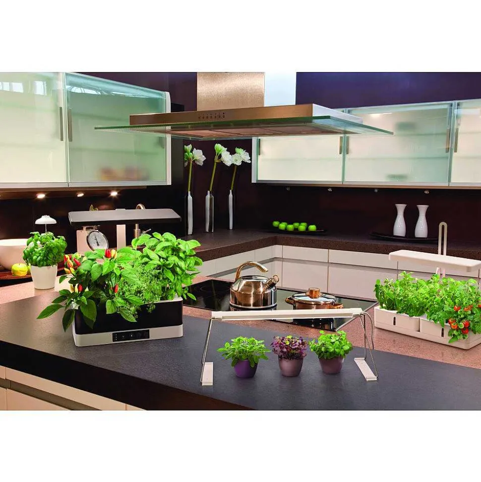 Pieu De Terre Ledvance Indoor Garden Blanc, 1 Lumiere