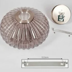 Plafonnier Chapal Nickel Mat, 1 Lumiere