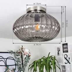 Plafonnier Chapal Nickel Mat, 1 Lumiere