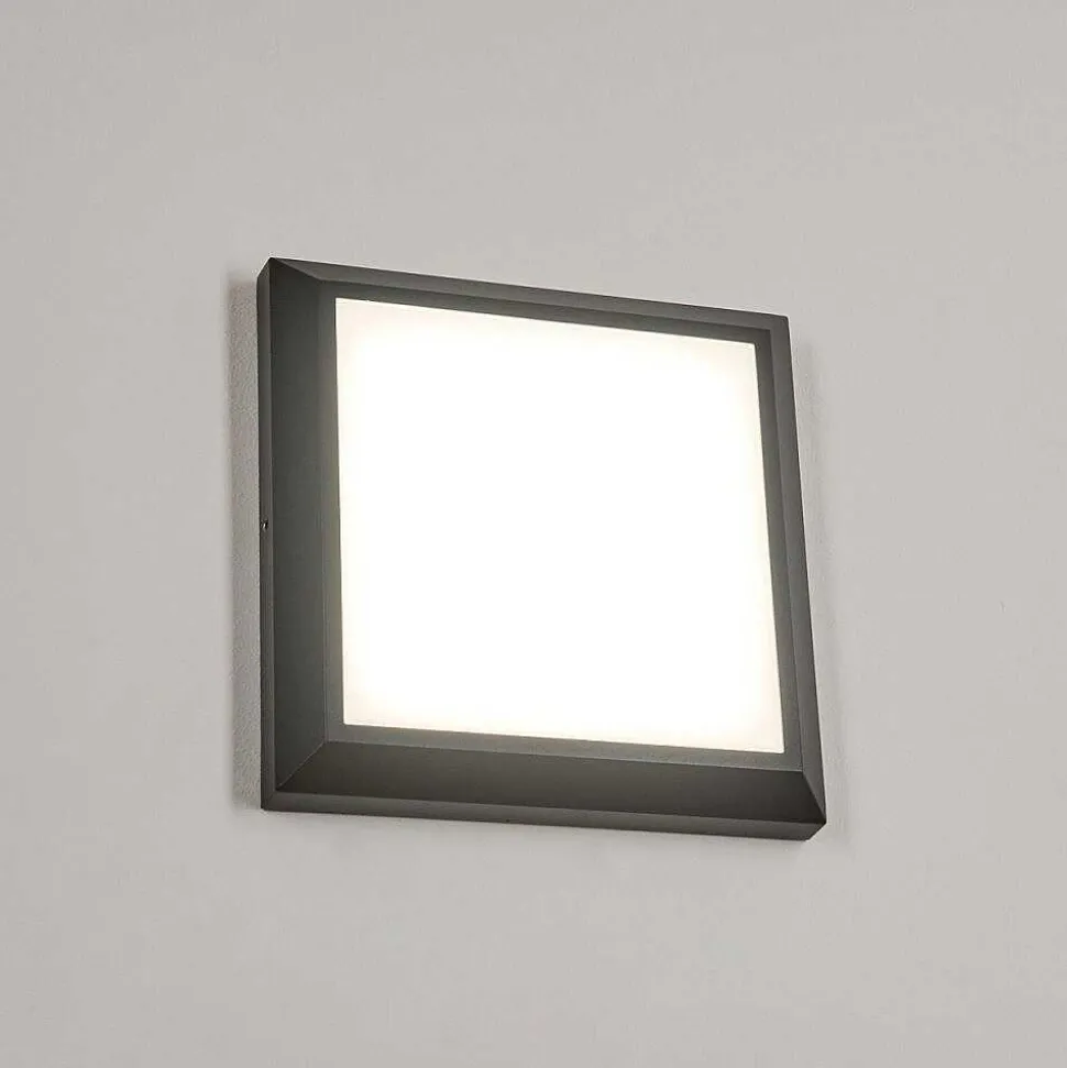 Plafonnier Exterieur Alkmaar Led Anthracite, 1 Lumiere