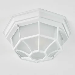 Plafonnier Exterieur Ibacache Blanc, 1 Lumiere