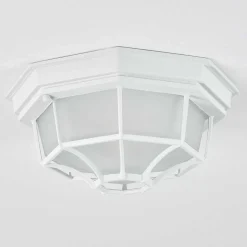 Plafonnier Exterieur Ibacache Blanc, 1 Lumiere