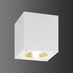 Plafonnier Exterieur Lcd 5029 Led Blanc, 1 Lumiere
