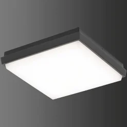 Plafonnier Exterieur Lcd Typ 5060 Led Noir, 1 Lumiere