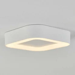 Plafonnier Exterieur Paleroo Led Blanc, 1 Lumiere