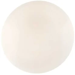 Plafonnier Globo Sajama Led Blanc, 1 Lumiere, Telecommandes