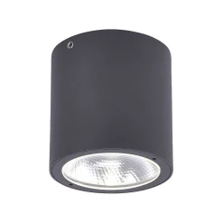 Plafonnier Paul Neuhaus Georg Led Anthracite, 1 Lumiere