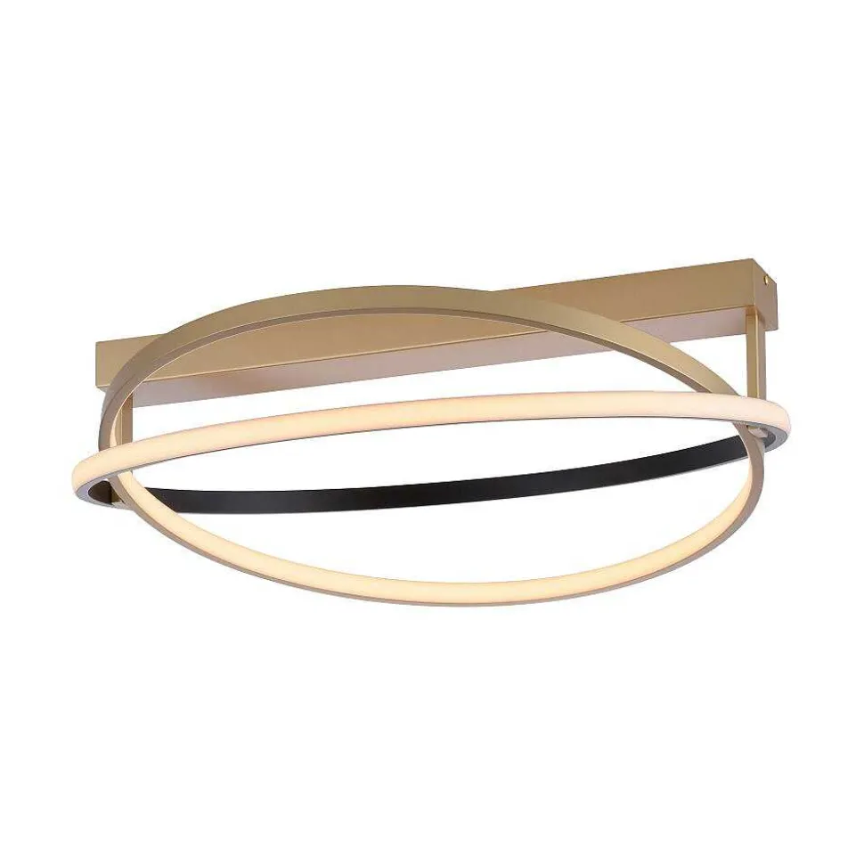 Plafonnier Paul Neuhaus Q-Beluga Led Or, 1 Lumiere, Telecommandes