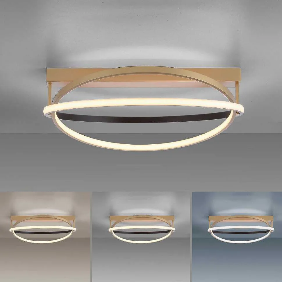 Plafonnier Paul Neuhaus Q-Beluga Led Or, 1 Lumiere, Telecommandes