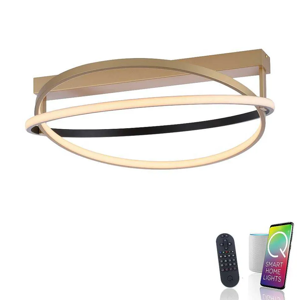 Plafonnier Paul Neuhaus Q-Beluga Led Or, 1 Lumiere, Telecommandes